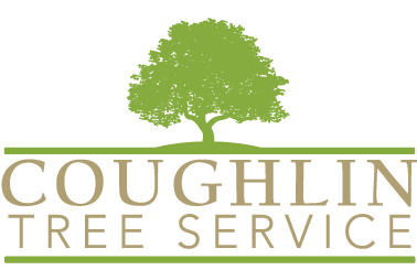 Coughlin Tree Service Springfield IL